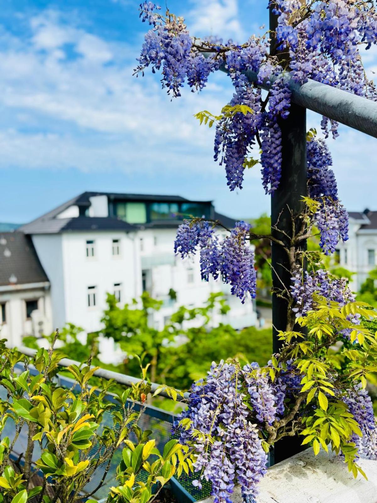 Pension Am Sueltebrunnen Bad Oeynhausen Bagian luar foto